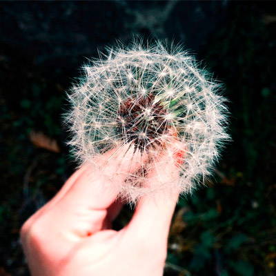 服务器攻击软件